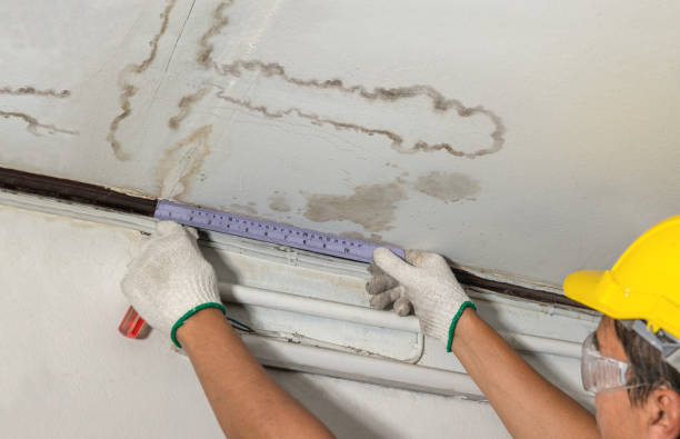 Reliable Burst Pipe Cleanup contractor in Hughesville, MD by Water Damage Irwin